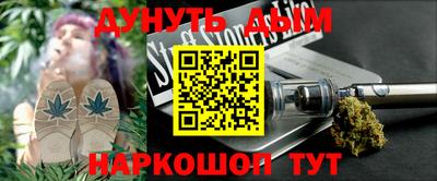 шишки Кандалакша