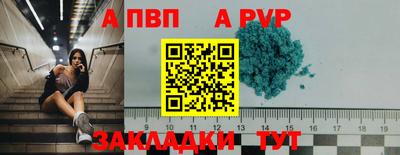 шишки Кандалакша