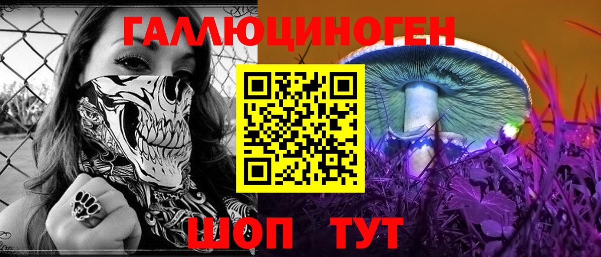 Королёв  Псилоцибиновые грибы Magic Shrooms  Вход с VPN 